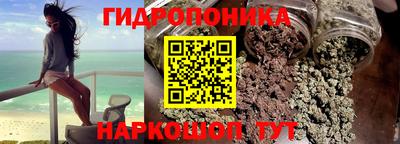 шишки Пушкино