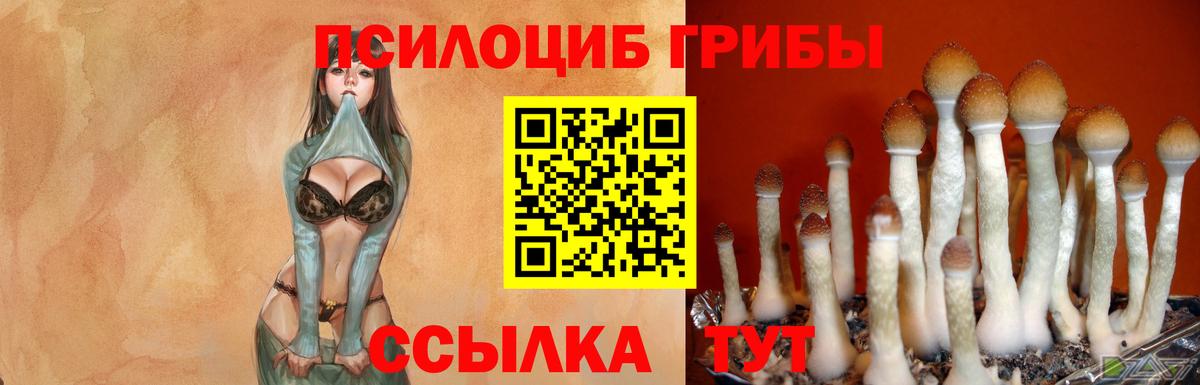 Асино  Галлюциногенные грибы мухоморы  Вход с VPN 